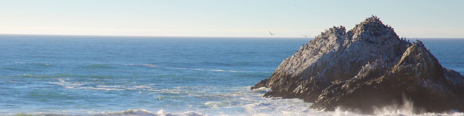 Ocean Beach featuring a sandy beach, general coastal views and landscape views