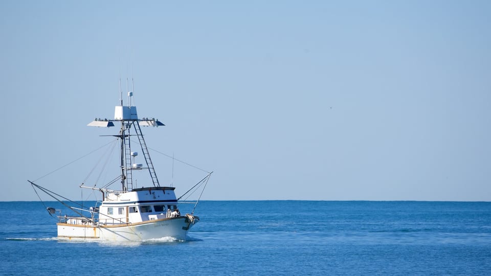 Ventura ofreciendo paseos en lancha