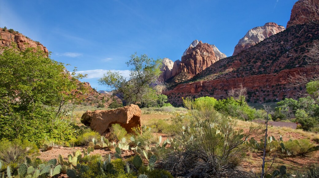 Museo de la historia humana de Zion mostrando vistas de paisajes, escenas tranquilas y montañas