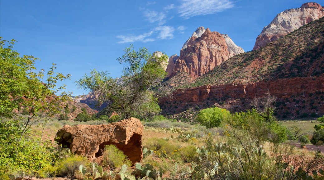 Museo de la historia humana de Zion que incluye montañas, vistas de paisajes y escenas tranquilas