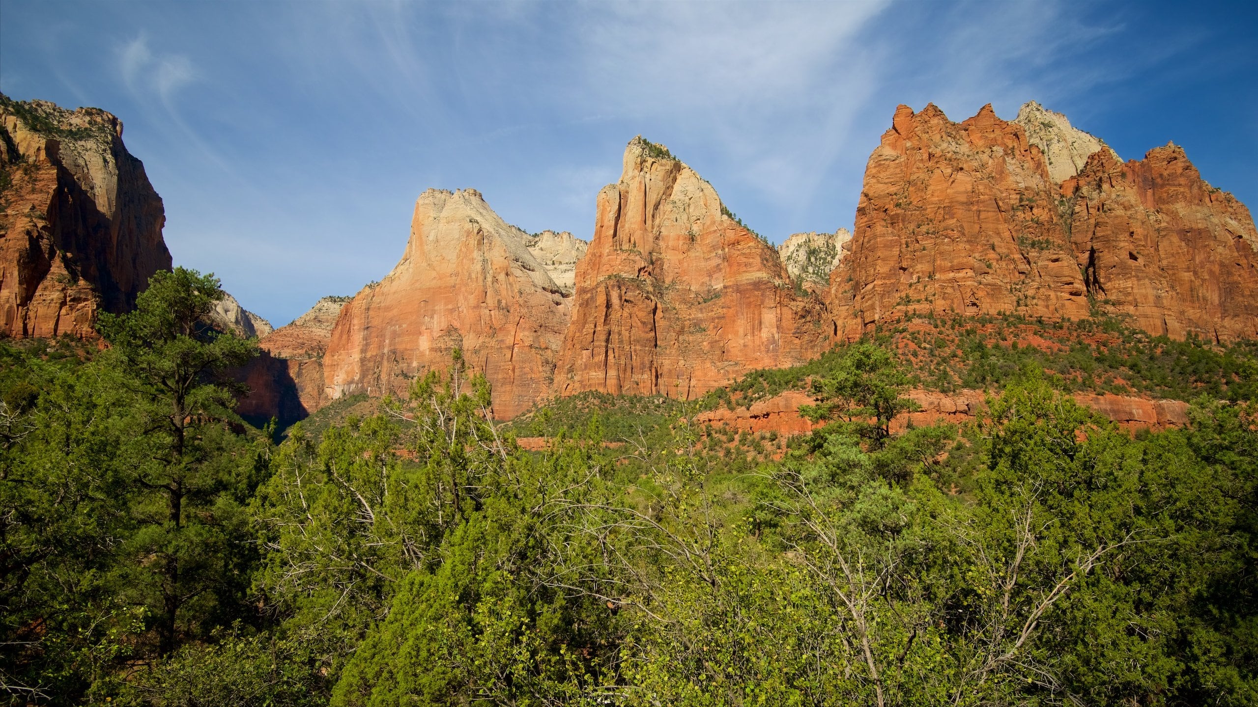 Springdale showing tranquil scenes, mountains and landscape views