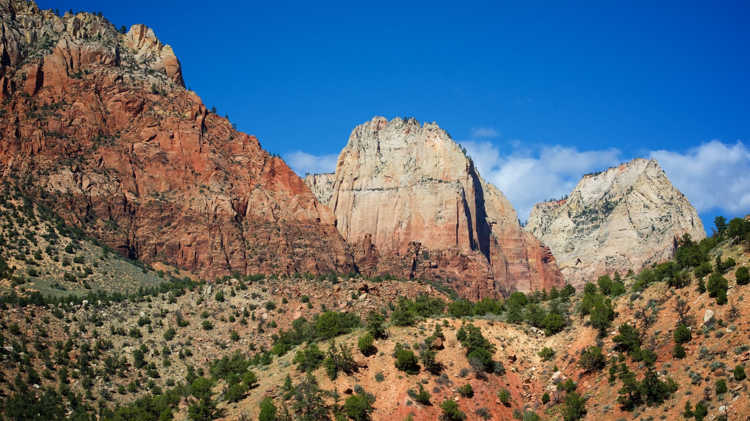 Visit Zion National Park East Entrance 2022 Travel Guide for Zion