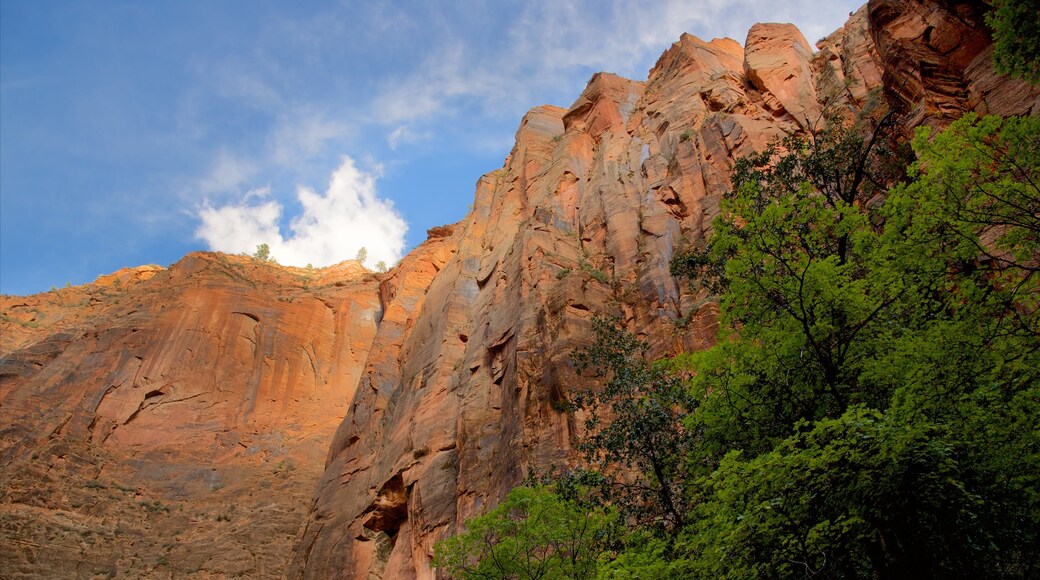 Zion Nationalpark welches beinhaltet ruhige Szenerie, Landschaften und Berge