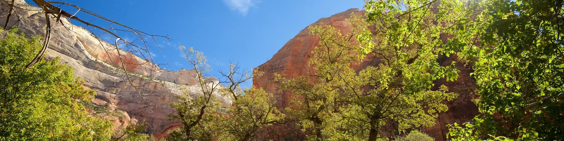 Zion National Park showing tranquil scenes and landscape views