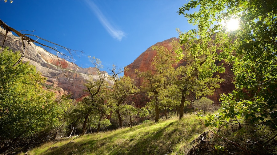 Zion National Park mostrando cenas tranquilas e paisagem