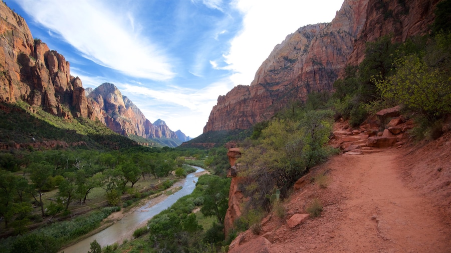 Zion National Park caracterizando um desfiladeiro ou canyon, montanhas e um rio ou cĂłrrego