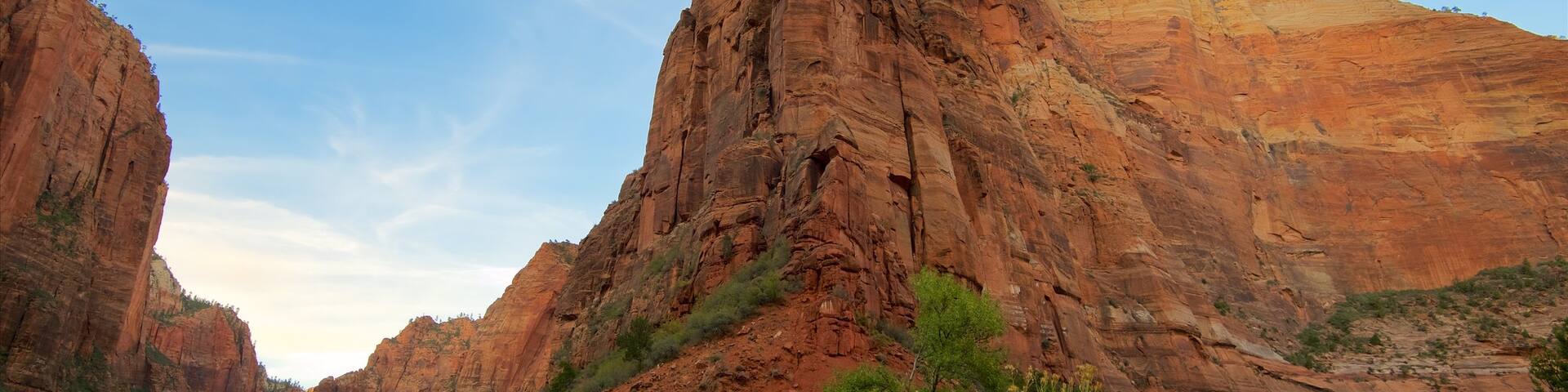 Zion National Park showing tranquil scenes, mountains and a gorge or canyon