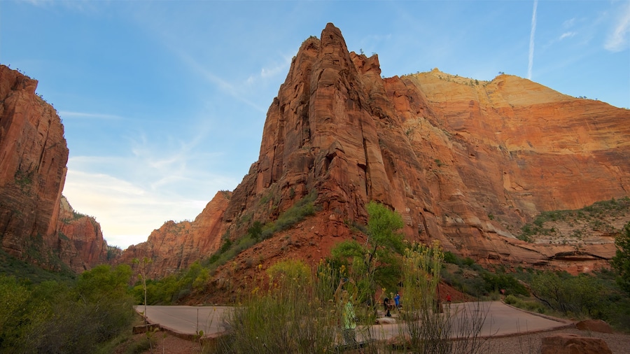 Zion National Park showing tranquil scenes, mountains and a gorge or canyon