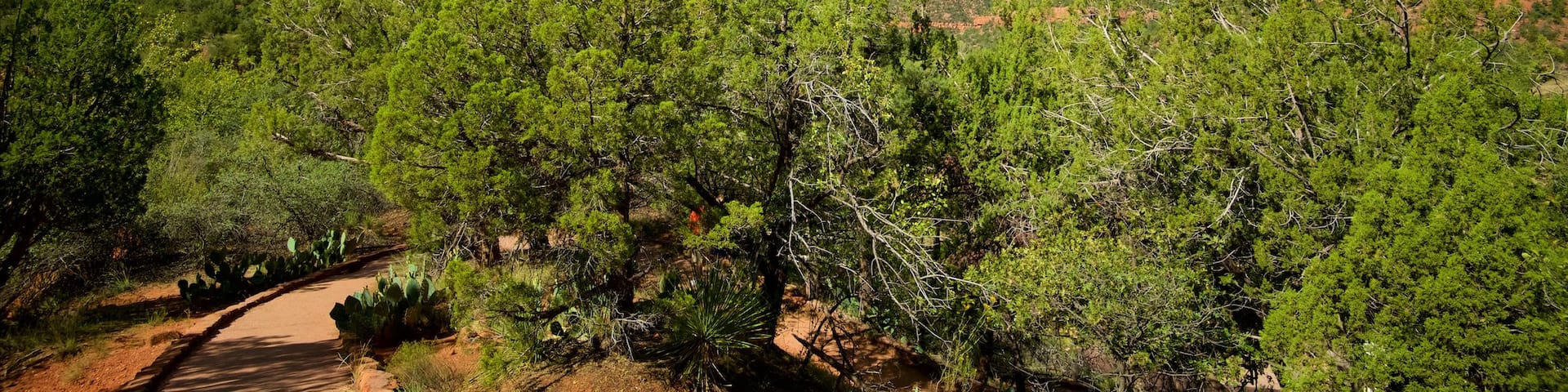 Court of the Patriarchs Viewpoint which includes mountains, landscape views and tranquil scenes