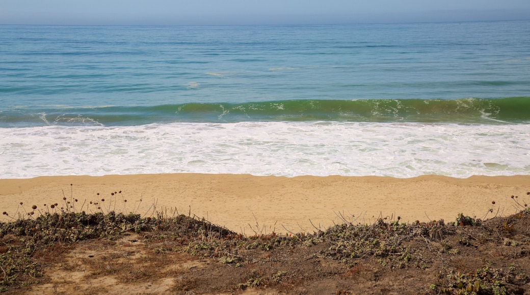 San Mateo County