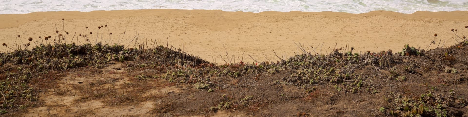 Half Moon Bay featuring a beach