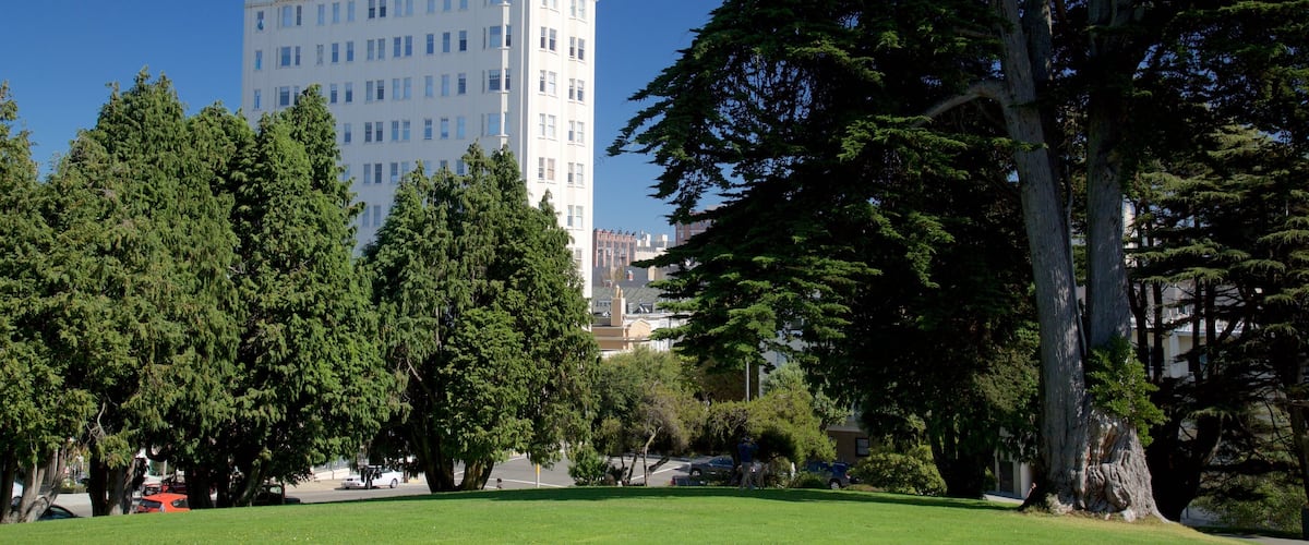 Pacific Heights featuring a park
