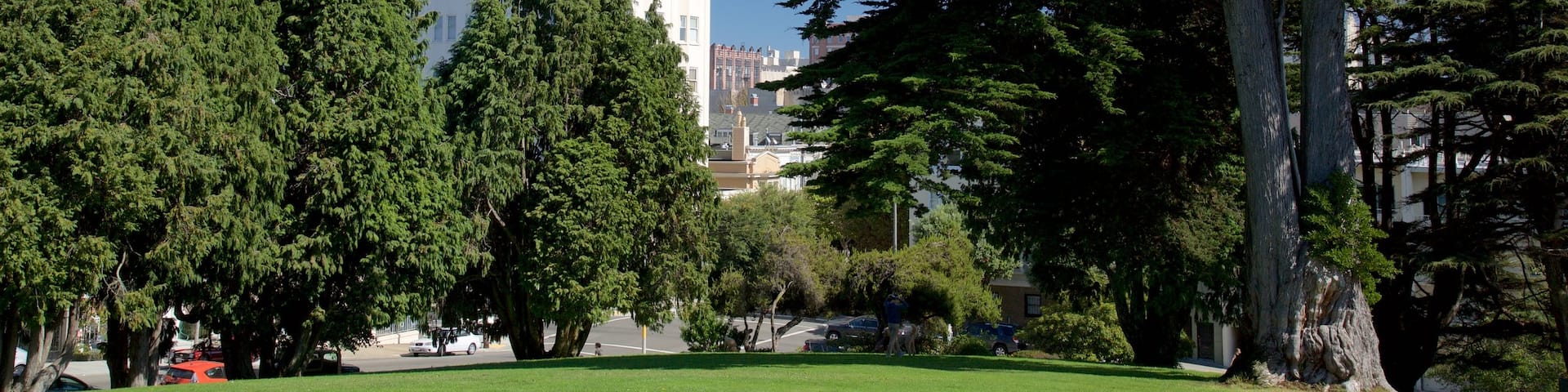 Pacific Heights featuring a park