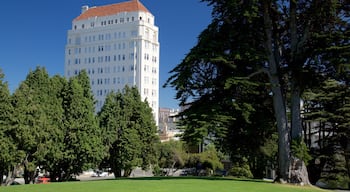 Pacific Heights mit einem Park