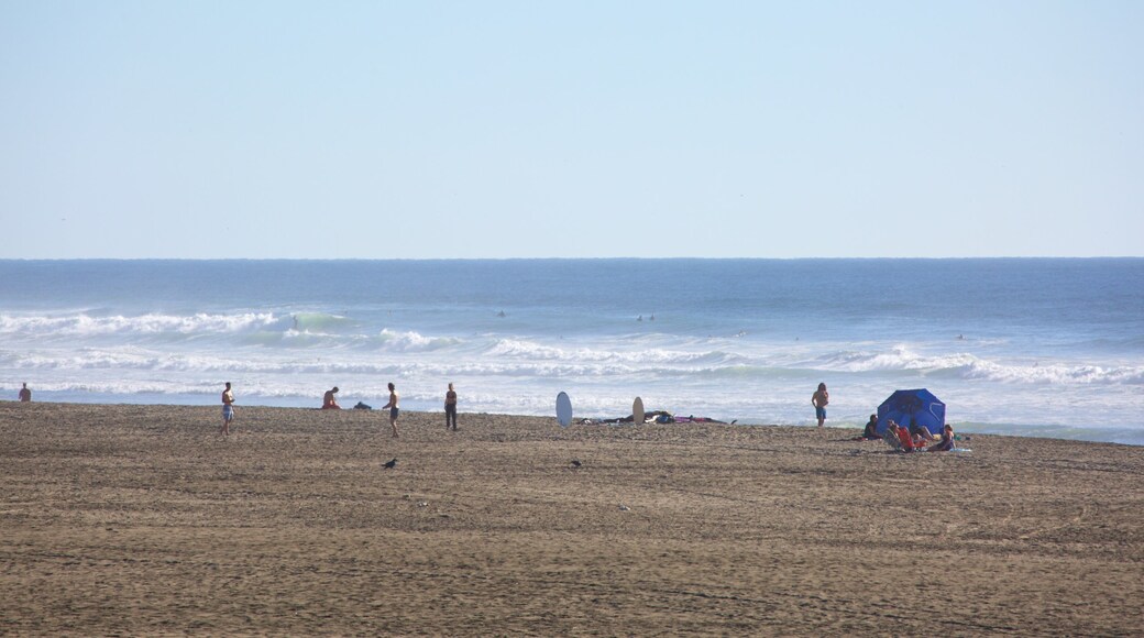 Ocean Beach ซึ่งรวมถึง ชายฝั่งทะเล, หาดทราย และ วิวทิวทัศน์