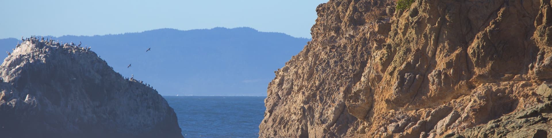 Ocean Beach showing landscape views, a sandy beach and rugged coastline
