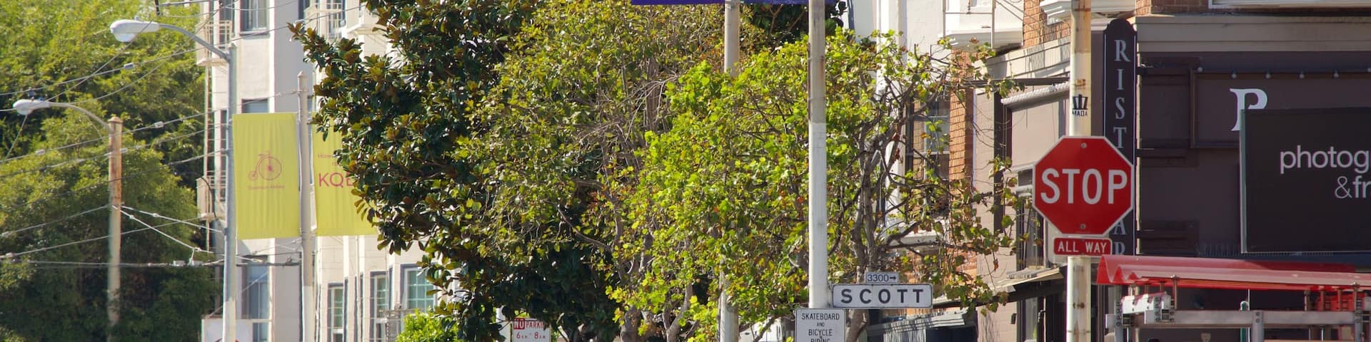 Cow Hollow featuring street scenes, a city and city views