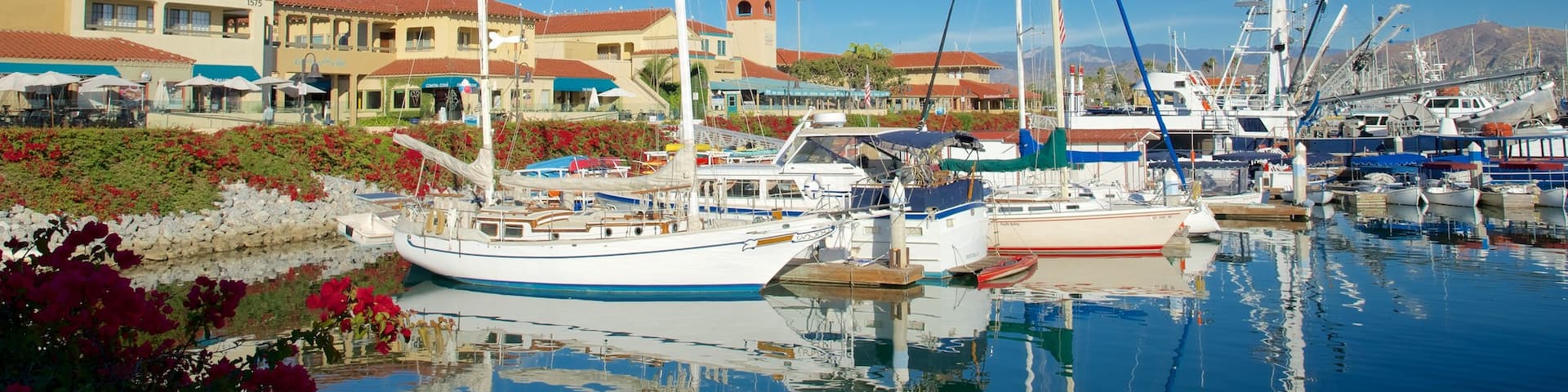 Ventura Harbor showing a marina