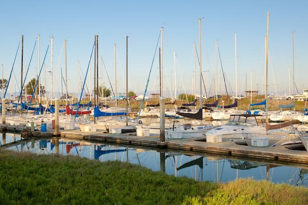Coyote Point Park mit einem Bucht oder Hafen und Segeln
