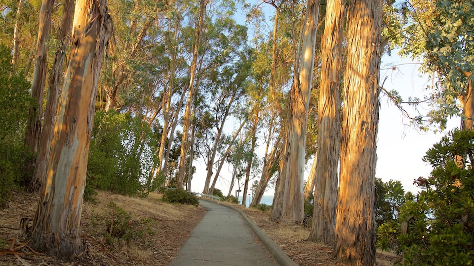 Parque Coyote Point ofreciendo un parque