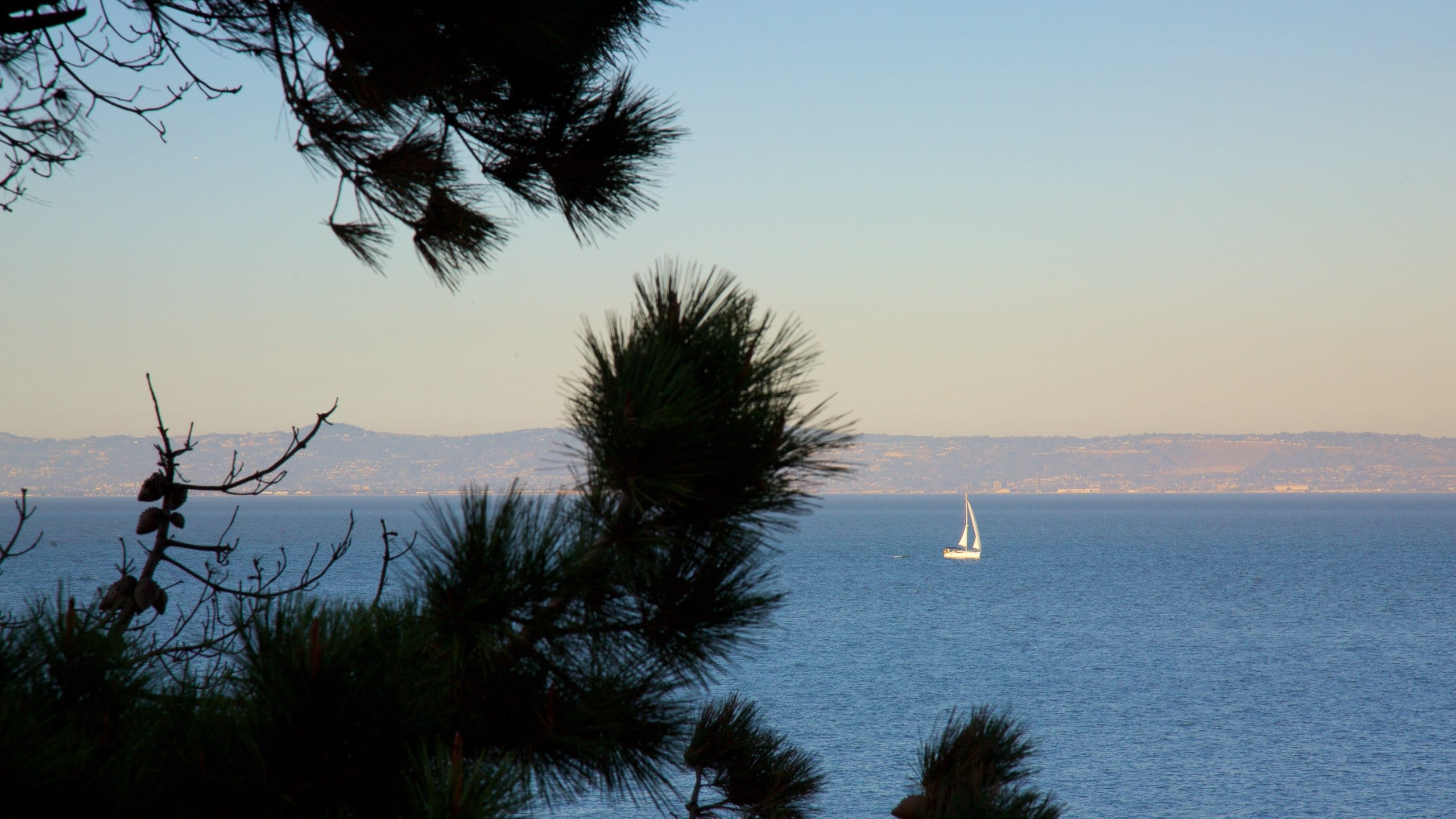 Coyote Point Park showing landscape views, general coastal views and sailing