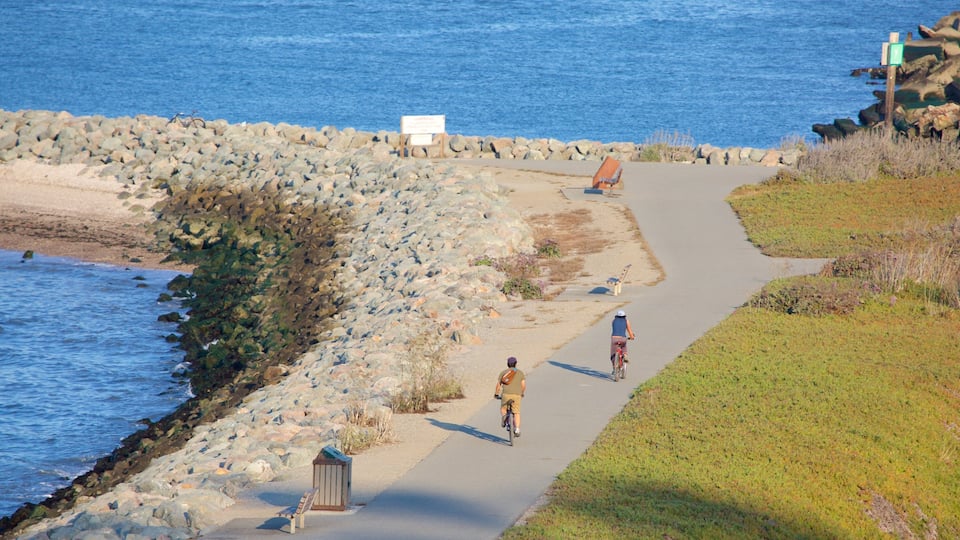 Parque Coyote Point que incluye ciclismo y también un grupo pequeño de personas