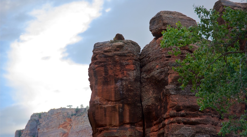 The Narrows