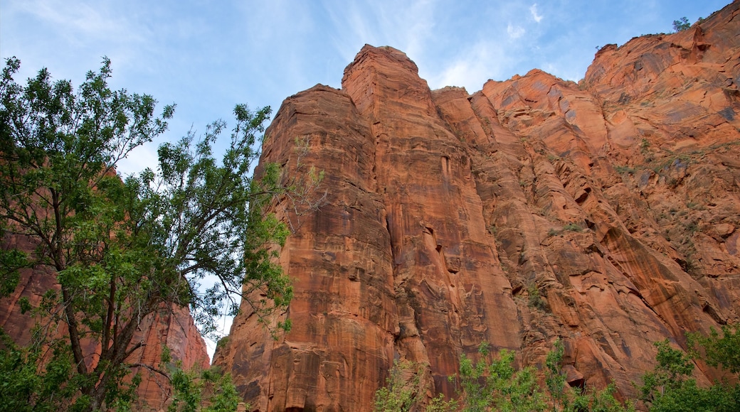 Templo del Sinawava que incluye montañas y situaciones tranquilas