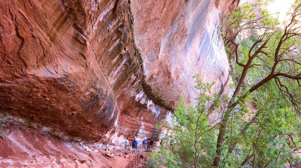 Emerald Pools which includes hiking or walking and tranquil scenes as well as a small group of people