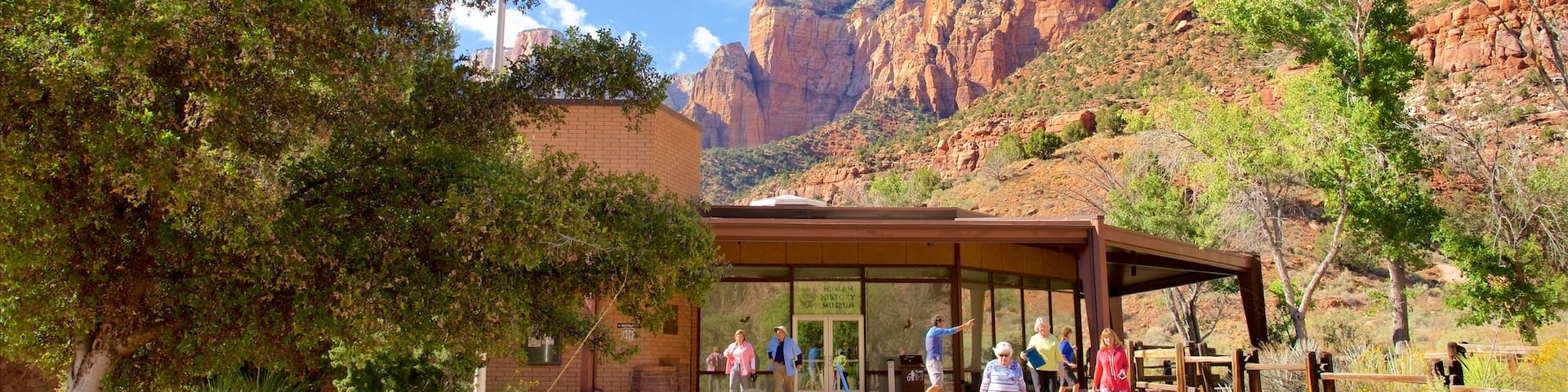Zion Human History Museum which includes mountains