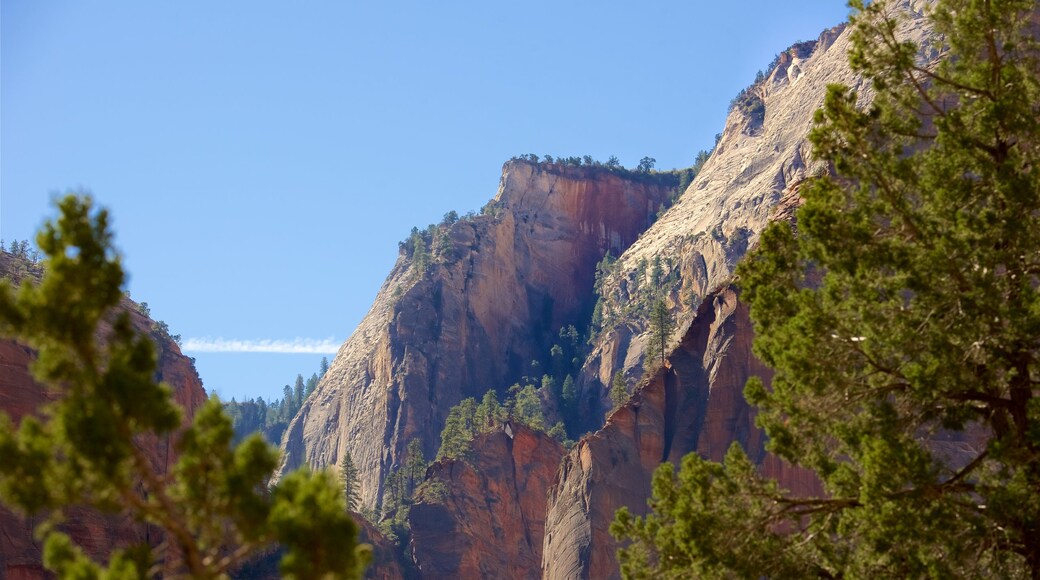 Parque Nacional Zion que incluye vistas de paisajes, escenas tranquilas y montañas