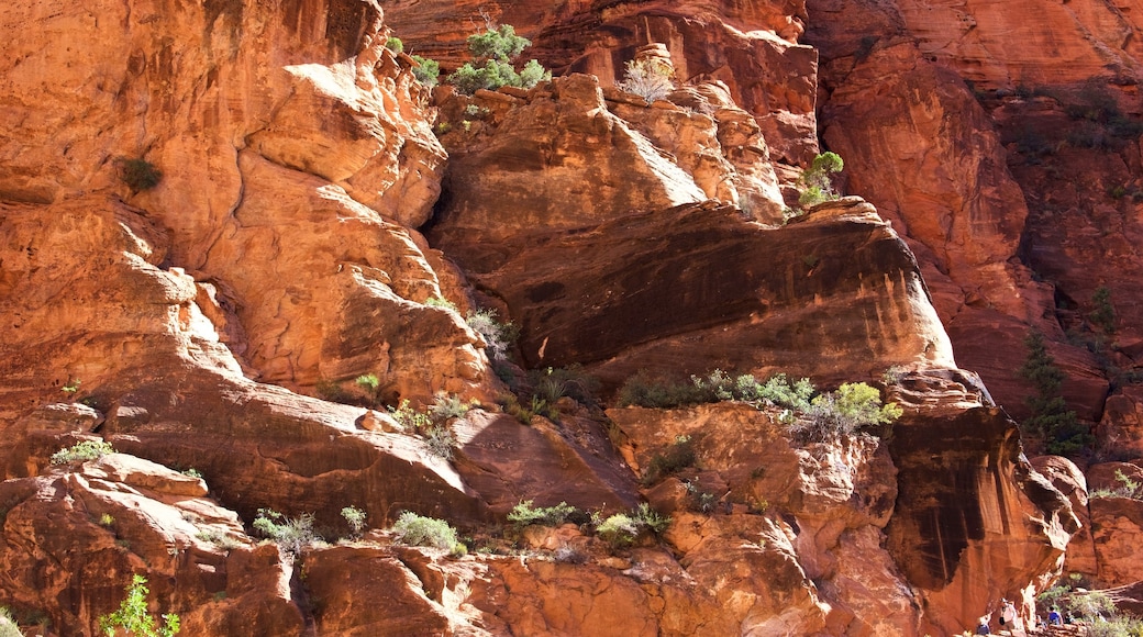 Zion National Park toont vredige uitzichten