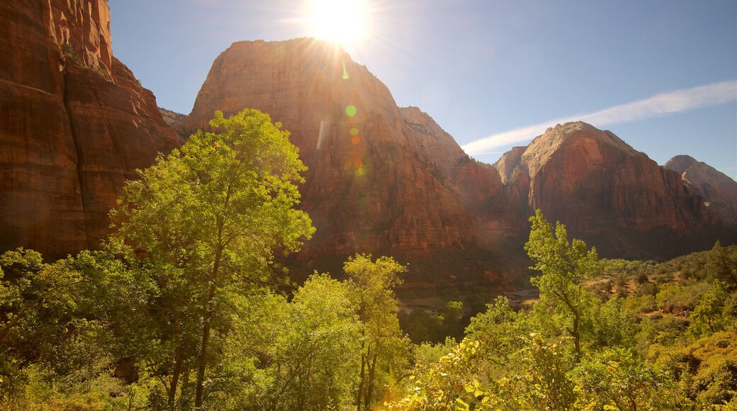 Zion National Park som inkluderar berg, stillsam natur och landskap