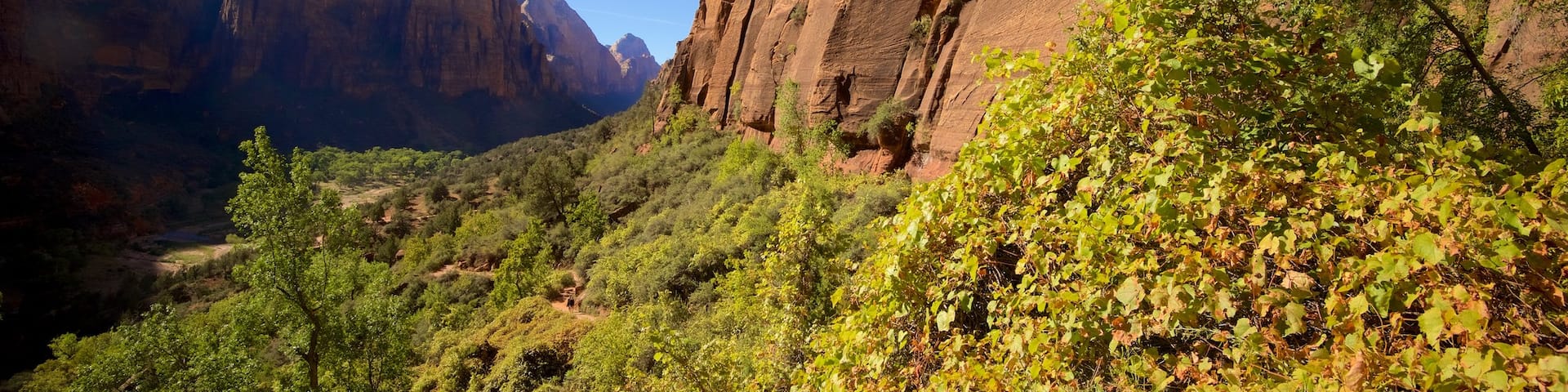 Zion National Park featuring tranquil scenes, a gorge or canyon and landscape views