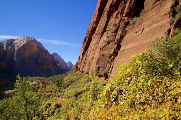Zion National Park which includes mountains, landscape views and tranquil scenes