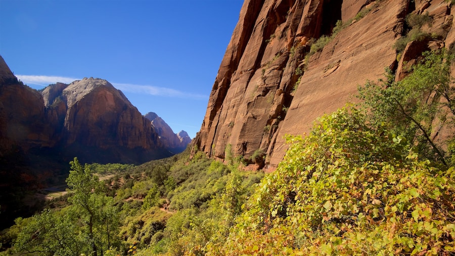 Zion National Park caracterizando paisagem, montanhas e cenas tranquilas