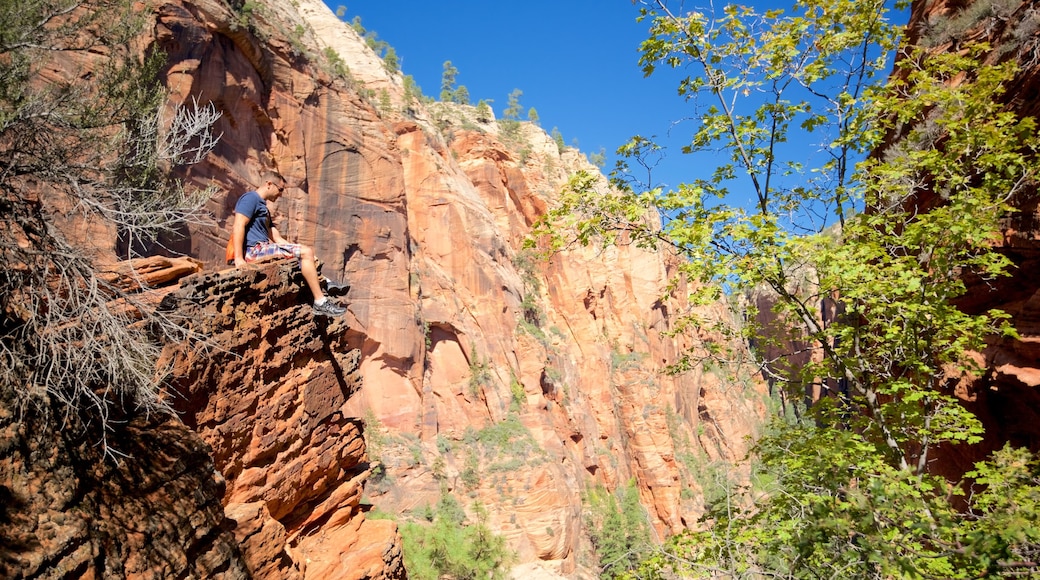 Parque Nacional Zion ofreciendo escenas tranquilas y senderismo o caminata y también un hombre