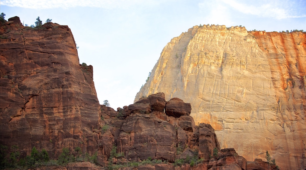 Zion National Park showing tranquil scenes, landscape views and mountains