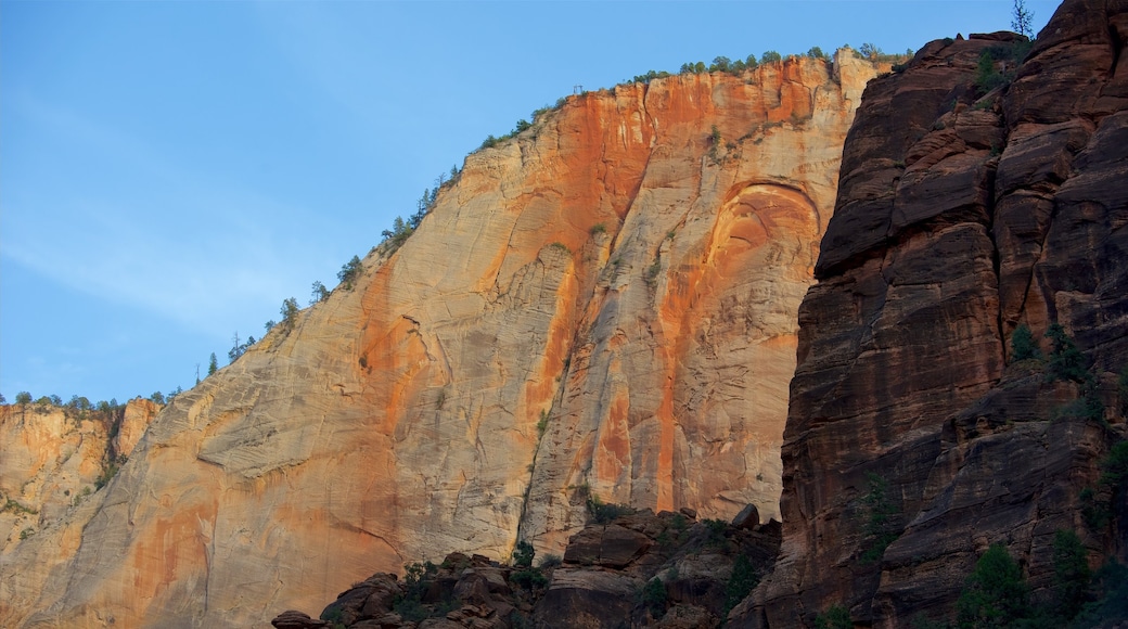 Zion National Park showing landscape views, tranquil scenes and mountains