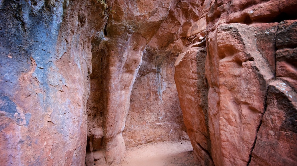 Zion National Park featuring tranquil scenes and hiking or walking