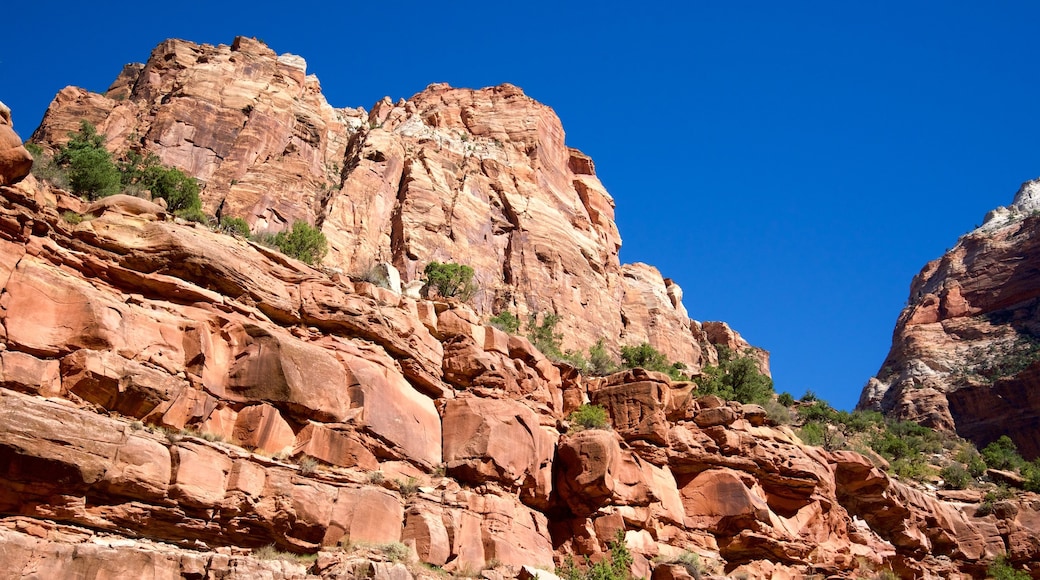 Zion National Park which includes landscape views, mountains and tranquil scenes