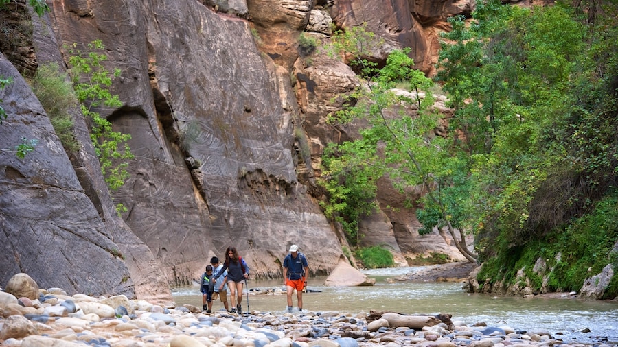 Zion National Park which includes hiking or walking, tranquil scenes and a river or creek