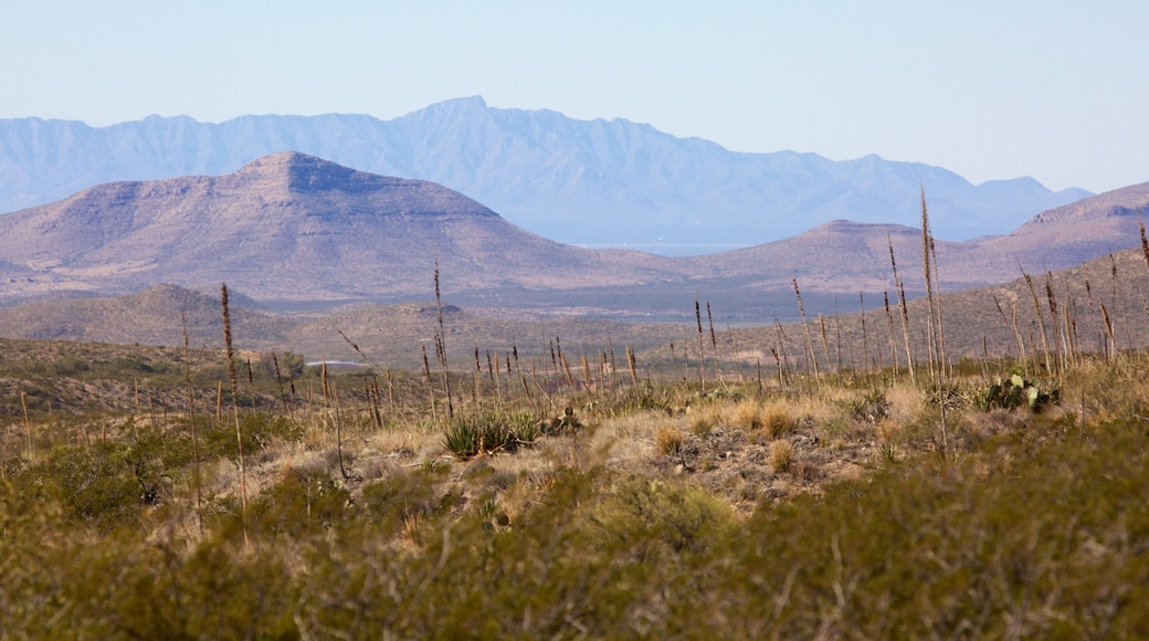 El Paso caracterizando paisagens do deserto