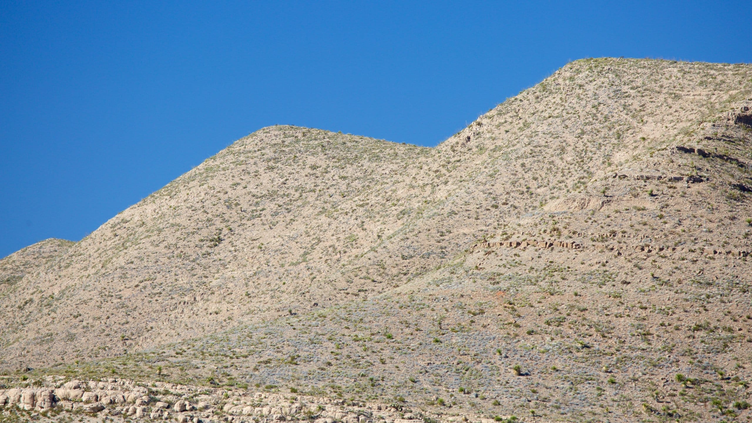 Big Bend Travel Guide Best of Big Bend, Texas Travel 2024 Expedia.co.th