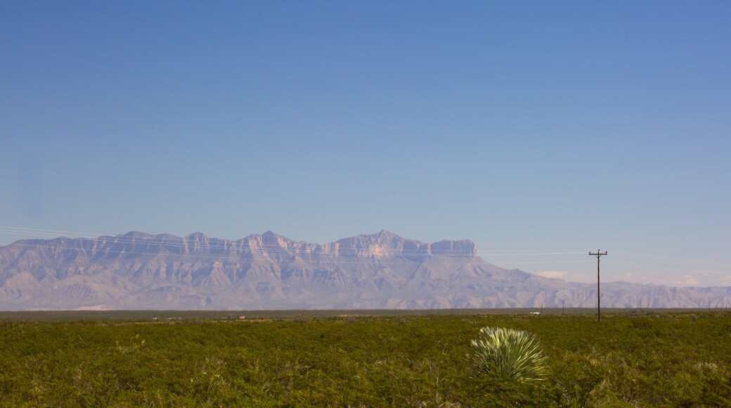Parc national Guadalupe Mountains qui includes montagnes