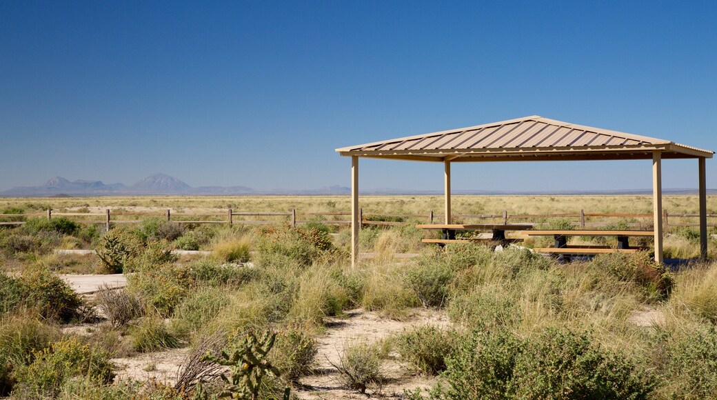 Parc national Guadalupe Mountains montrant ferme