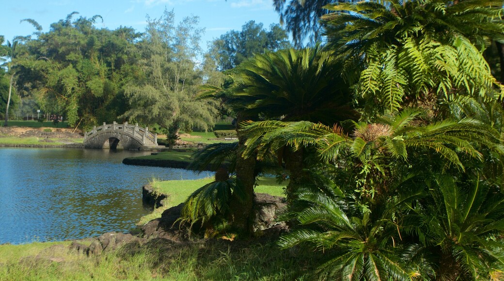 Liliuokalani Park and Gardens showing a bridge, a garden and a pond