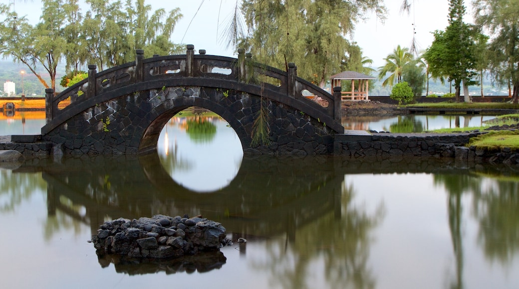 Liliuokalani Park and Gardens showing a park, a pond and a bridge