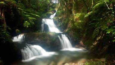 Hawaii Tropical Botanical Garden og byder på en park og et vandfald