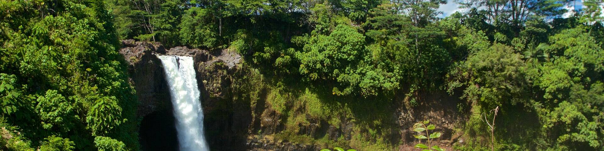 Rainbow Falls which includes a waterfall and a garden